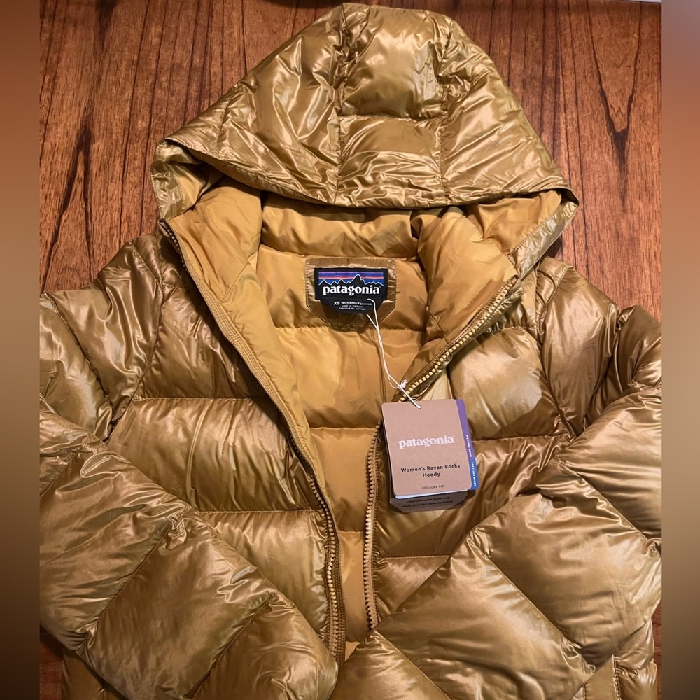Gold Patagonia Raven Rocks Hoody W